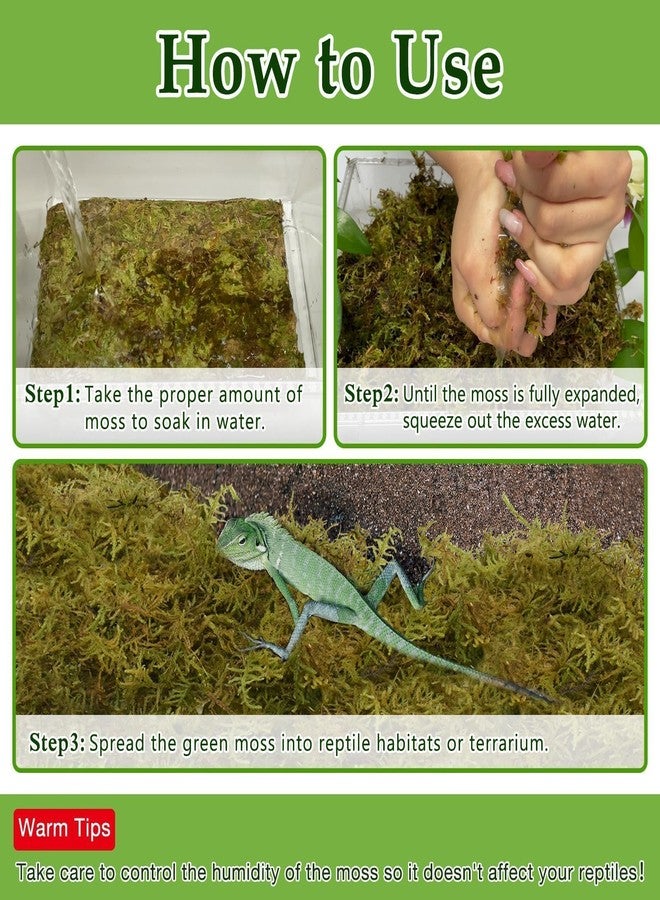 Halatool 9OZ Natural Sphagnum Moss for Reptiles- 14QT Green Moss for Terrarium Plants Long Fiber Reptile Moss for Leopard Gecko Snake Hamsters Tortoises Frogs Lizards Salamanders - Image 4